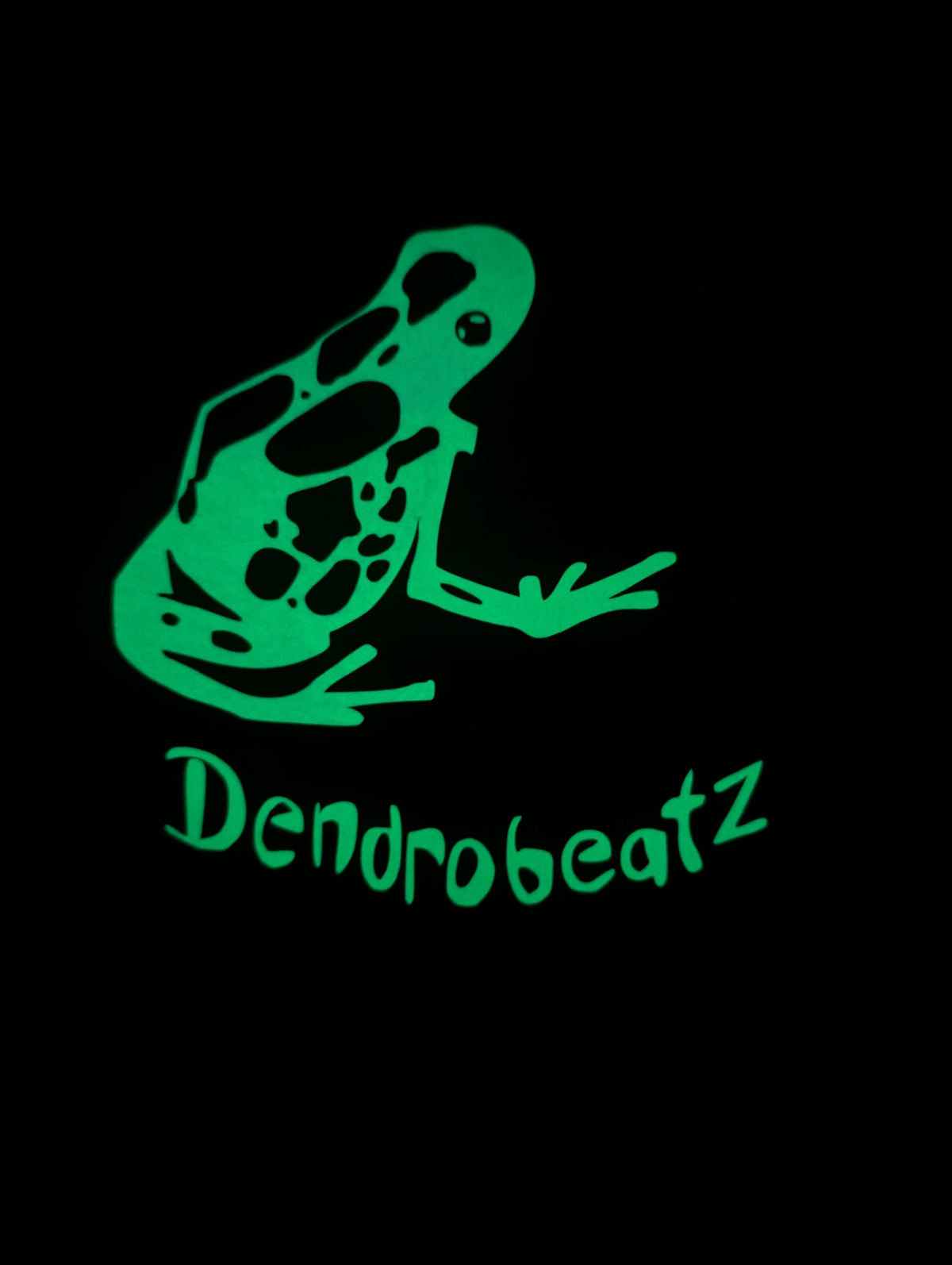 Holographic/Glow in the Dark Hoodie